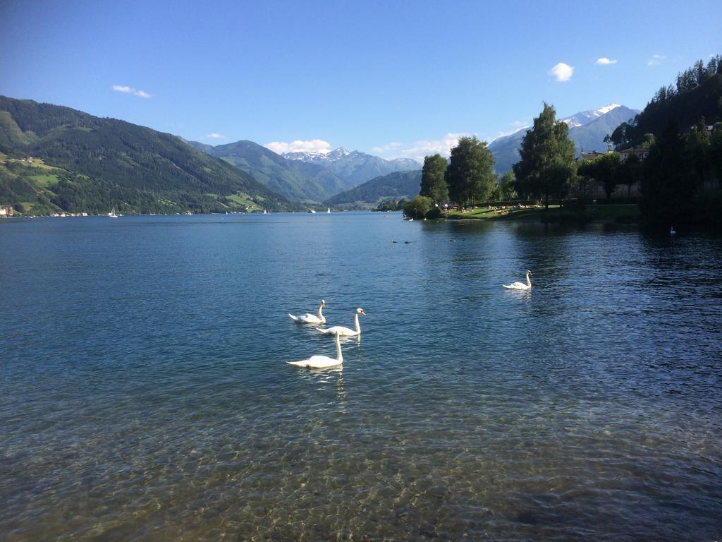 Penthouse Sonnberg Lägenhet Zell am See Exteriör bild